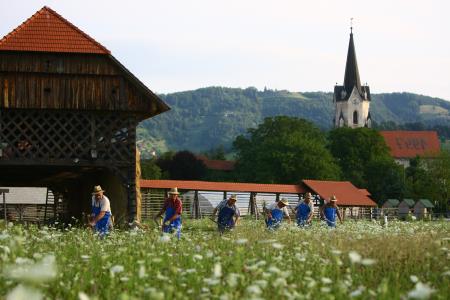 Dežela kozolcev, Foto Franc Pepelnak